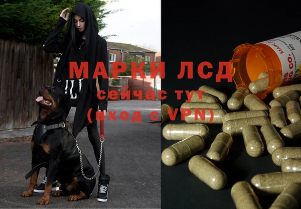 MDMA Гусиноозёрск